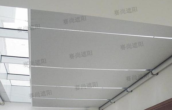 FSS電動(dòng)天棚簾 FSS電動(dòng)天棚簾
